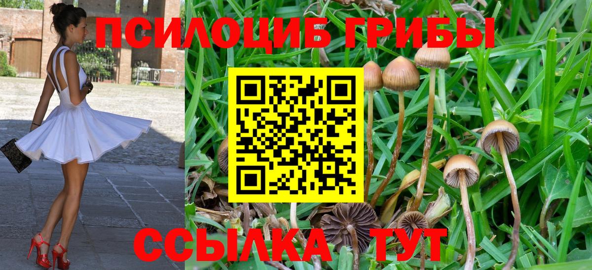 Псилоцибиновые грибы мухоморы Орёл