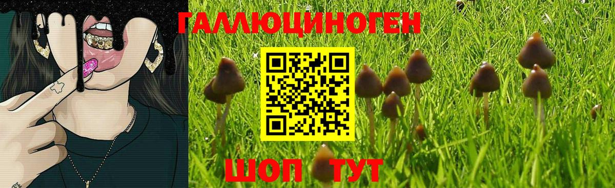 Галлюциногенные грибы Cubensis  Вход с VPN  Орёл 